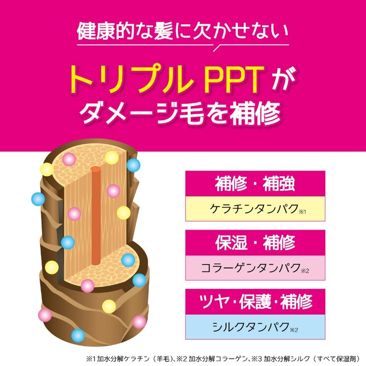 TOTTIMO!　カラーシャンプー 500mL x 2 パープル