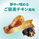 チューデント 犬用歯磨きガム 5本 x 3袋 ご褒美チキン風味