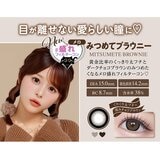 シャプン ワンデー みつめてブラウニー 10枚入り 齊藤なぎさイメージモデルカラコン 度なし (±0.00)