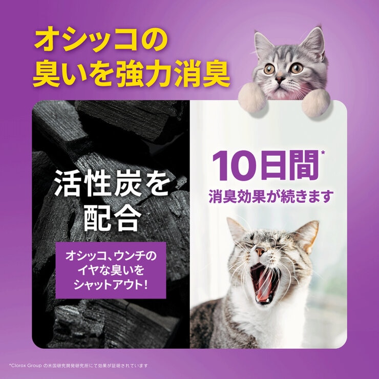 Scoop Away 猫砂 微香タイプ コンプリートパフォーマンス+ 19kg(4.76kg×4) Scoop Away 猫砂 微香タイプ コンプリートパフォーマンス+ 19kg(4.76kg×4)