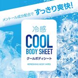 クールボディシート 20シート x 48パック