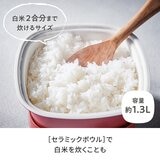レコルト 卓上小型電気鍋 ポット デュオ キャレ グレイッシュピンク RPD-4(PK)