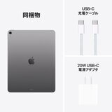 Apple iPad Air 13インチ M3 Wi-Fiモデル 1TB - スペースグレイ