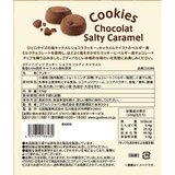 ゴディバ ビッツクッキー ショコラ ソルティキャラメル 376g
