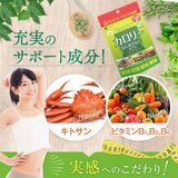 カロリー気にならないサプリ