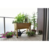 ベジトラグ ウォールハガー S ウッド