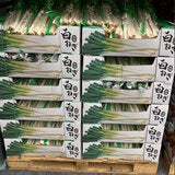 白ねぎ 1KG