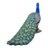 ウービア クジャクの置物 特大 H13234