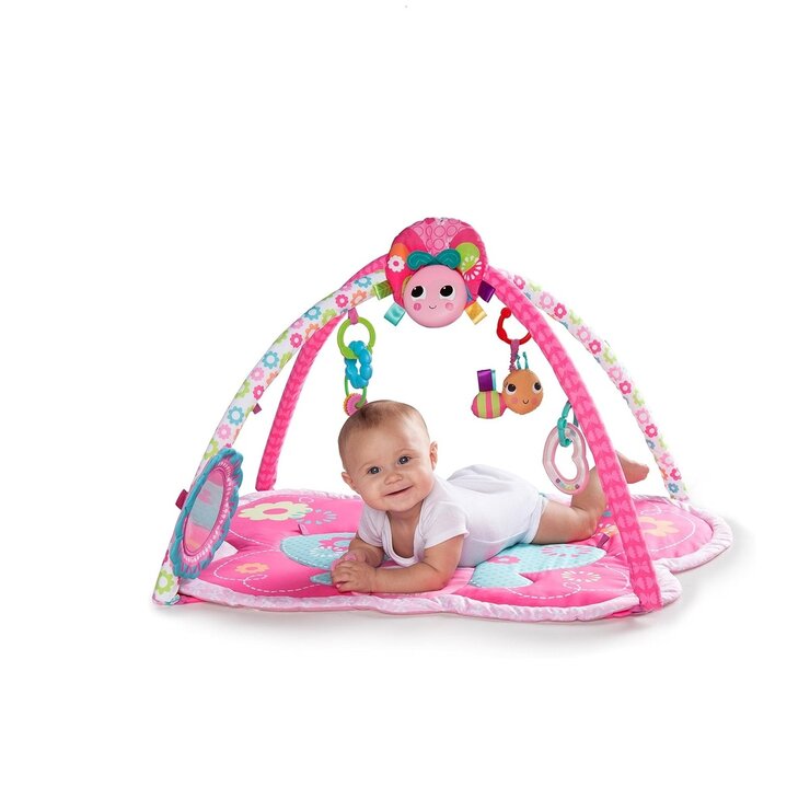 ブライトバタフライアクティビティジム