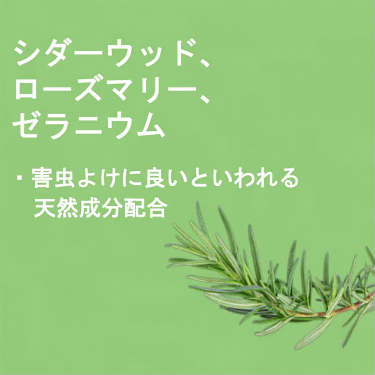 PAUL MITCHELL Pet バグスプレー 250ml