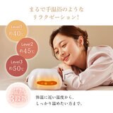 ウェーブウェーブ ハンドマッサージャー EMS Hand Esthe wh41-02 ブラウン