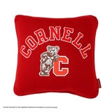 カレッジ デコピロー クッション 45 x 45cm