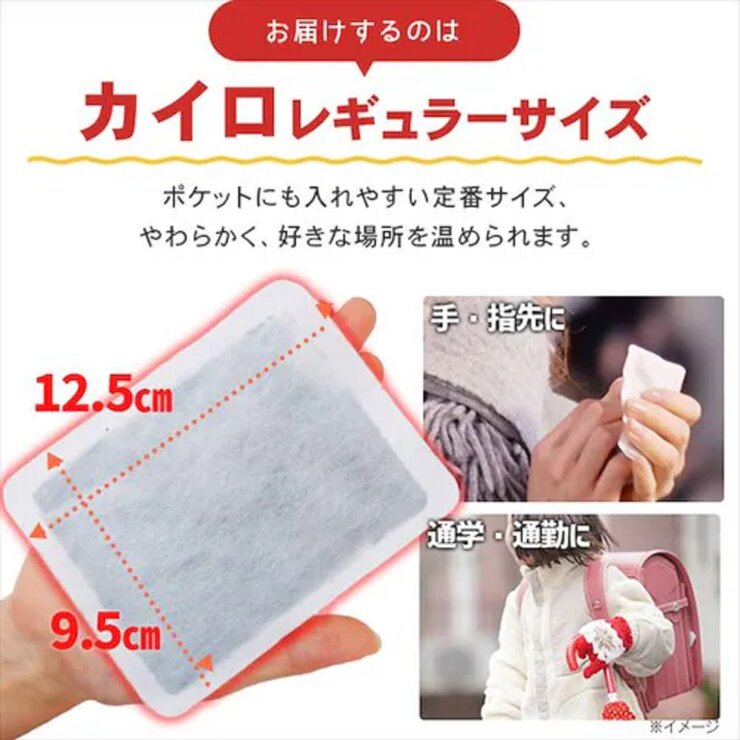 アイリスオーヤマ ぽかぽか家族 貼れないカイロ 60パック