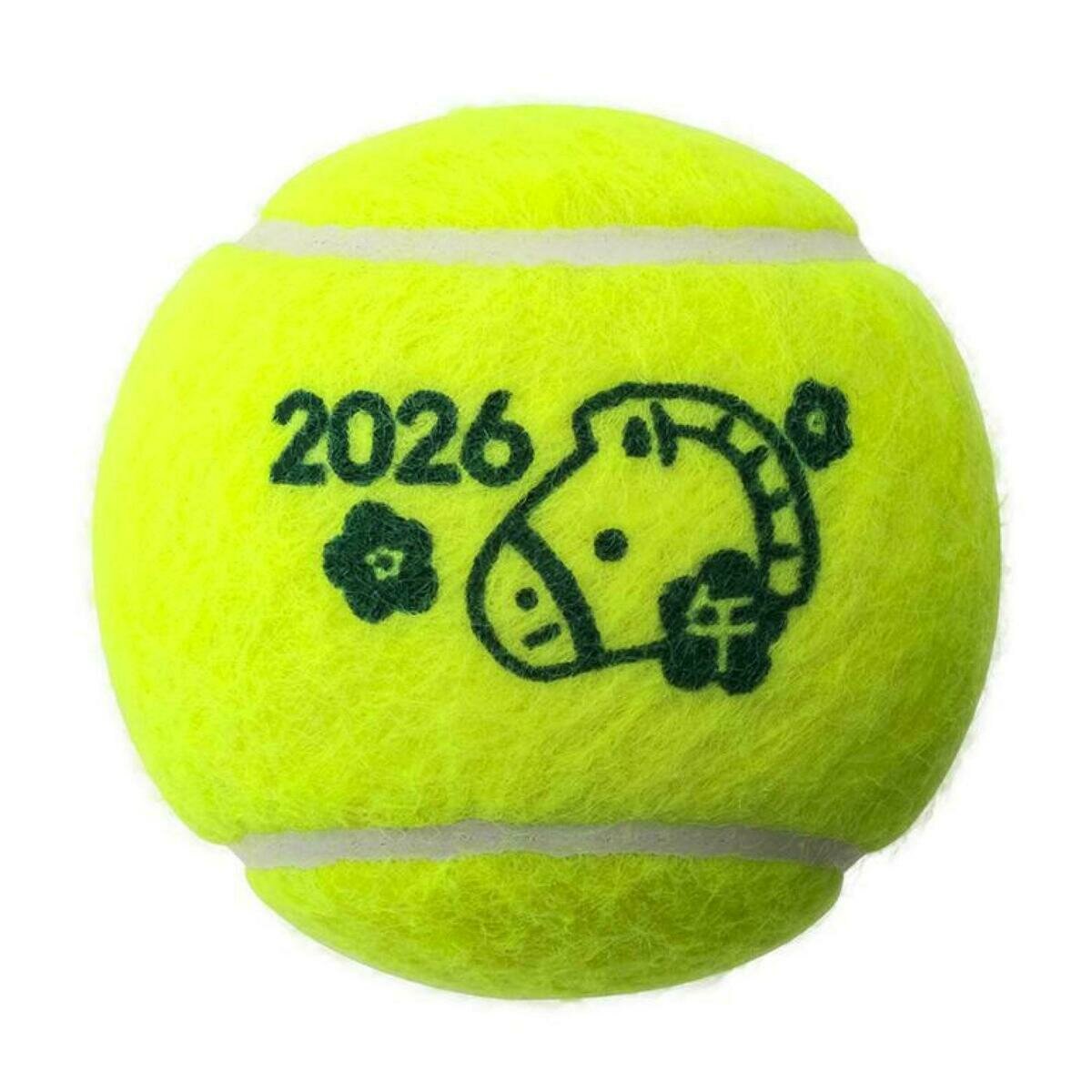 ダンロップ フォート テニスボール 60個入り