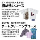 シャープ ドラム式洗濯機 10kg 乾燥 6kg 右開き ES-H10G-WR