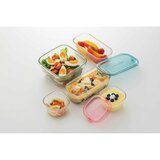 イワキ パック&レンジ 5点セット
