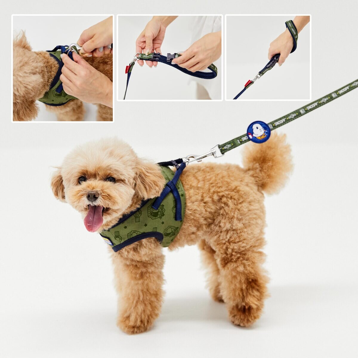 キャラクター リード付きハーネス セット S サイズ カーキ色 | Costco