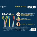 REACH カラーバースト 歯ブラシ 10 本 REACH カラーバースト 歯ブラシ 10 本