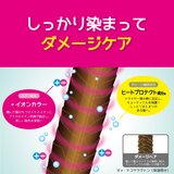 TOTTIMO! ディップカラー トリートメント 500g x 2