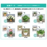 ハイポネックス マグァンプeco 中粒 元肥肥料 3kg