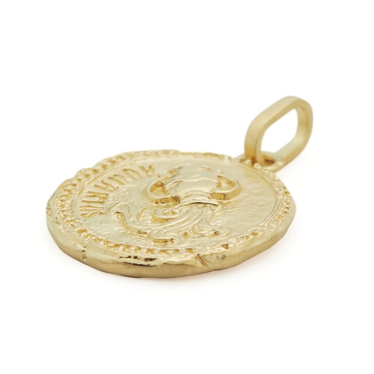 18Kイエローゴールド 星座ペンダントトップ みずがめ座