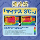 西川 冷感まくらカバー 2枚パック ブルー