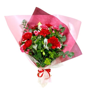 カーネーションの花束 レッド 母の日期間配送 お届け日5月4日～5月10日