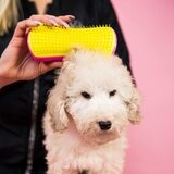 PET TEEZER ラージ&スモール ソフトタイプ 2個セット