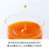 レコルト コールドプレスジューサー ミニ RCJ-1