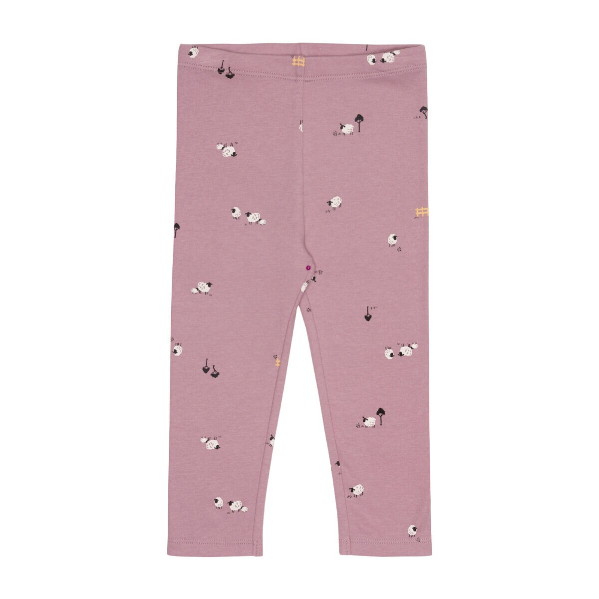 ペックル ベビー 4点セット ひつじ 24M