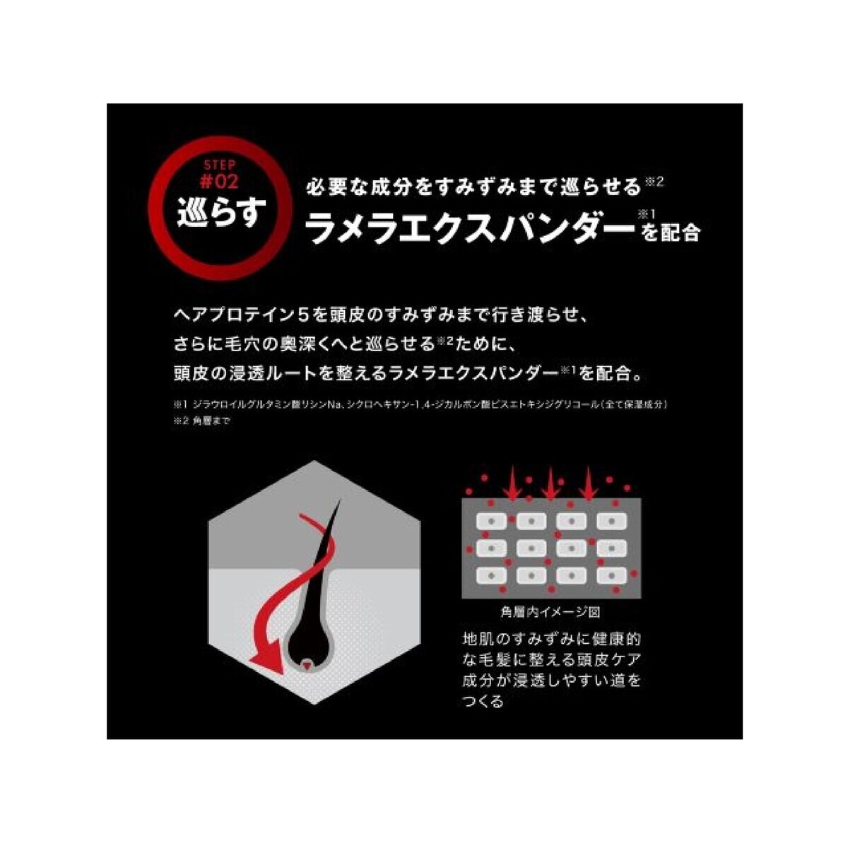 スカルプD ネクスト プロテイン5 スカルプシャンプー オイリー 脂性肌用 350mL