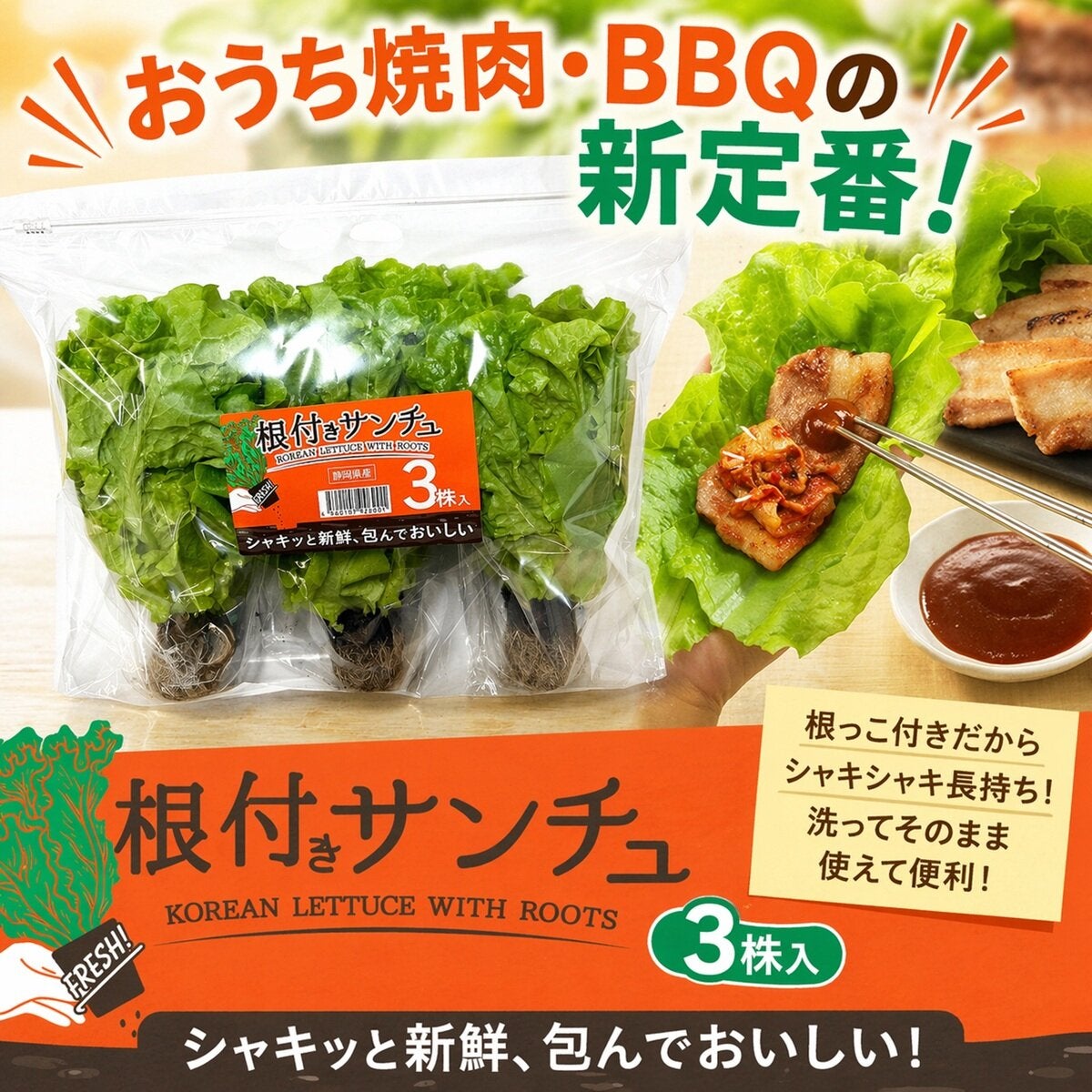 根付きサンチュ3株入 根付きサンチュ3株入