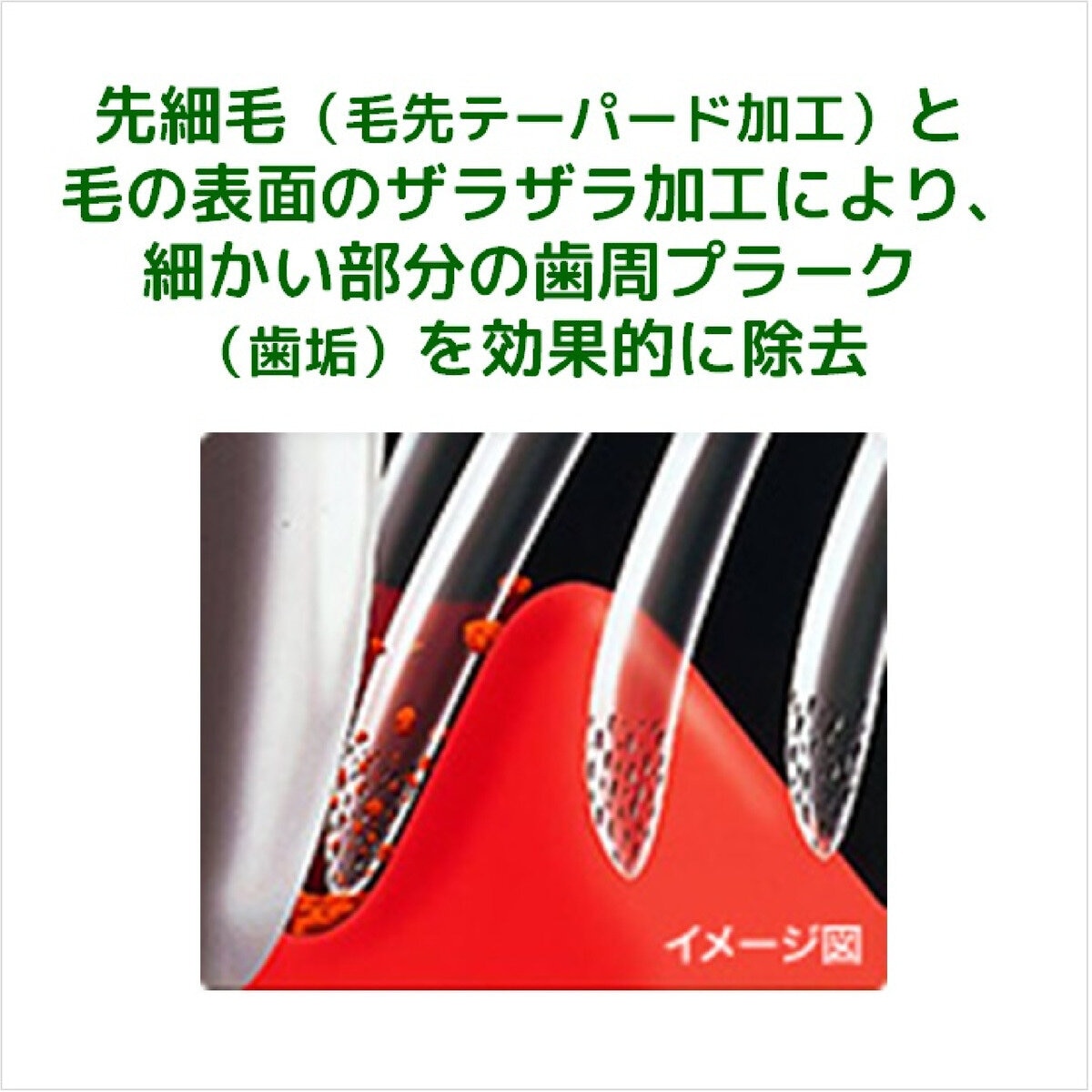 GUM (ガム) デンタルブラシ　12本組