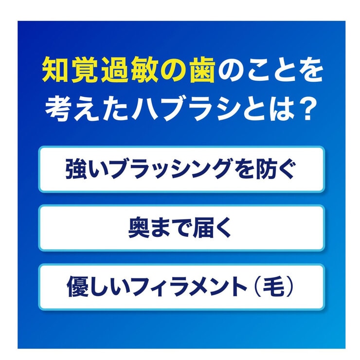 シュミテクト 歯周ケア歯ブラシ 8本 コンパクト