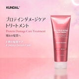 KUNDAL プロテイン ダメージケア トリートメント 250mL KUNDAL プロテイン ダメージケア トリートメント 250mL