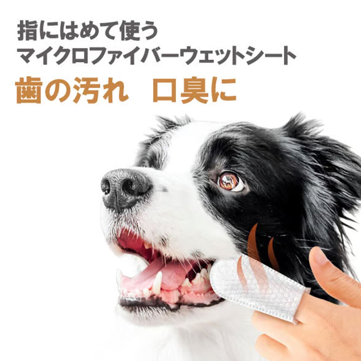 Petkin フィンガーティップワイプ 歯用 ピーナッツバター味