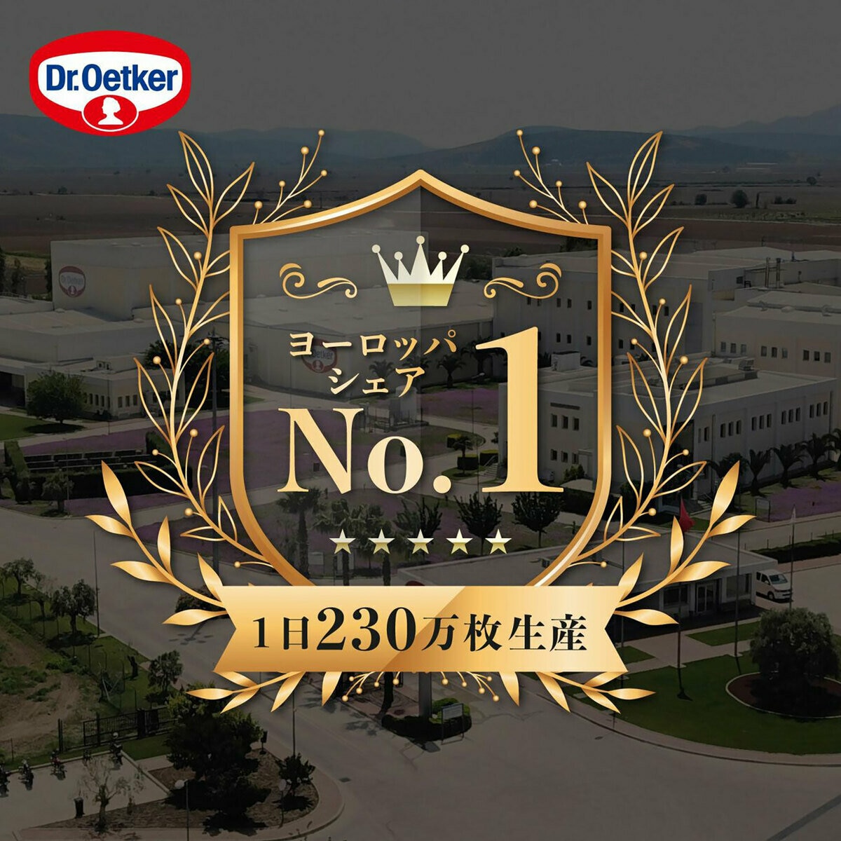 【冷凍】ドクターオツカー マルゲリータ 16cm 2枚入 8箱セット