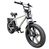 ROCKA FLAME 20インチ 電動アシスト ファットバイク HAYATE メタリックシルバー