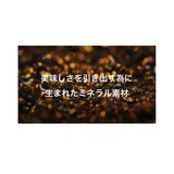 ヴェーエムエフ ハイキャセロール 24cm