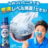 レノア 煮沸レベル 消臭抗菌 ビーズ スポーツ クールリフレッシュ&シトラスの香り 1,410ml x 2パック