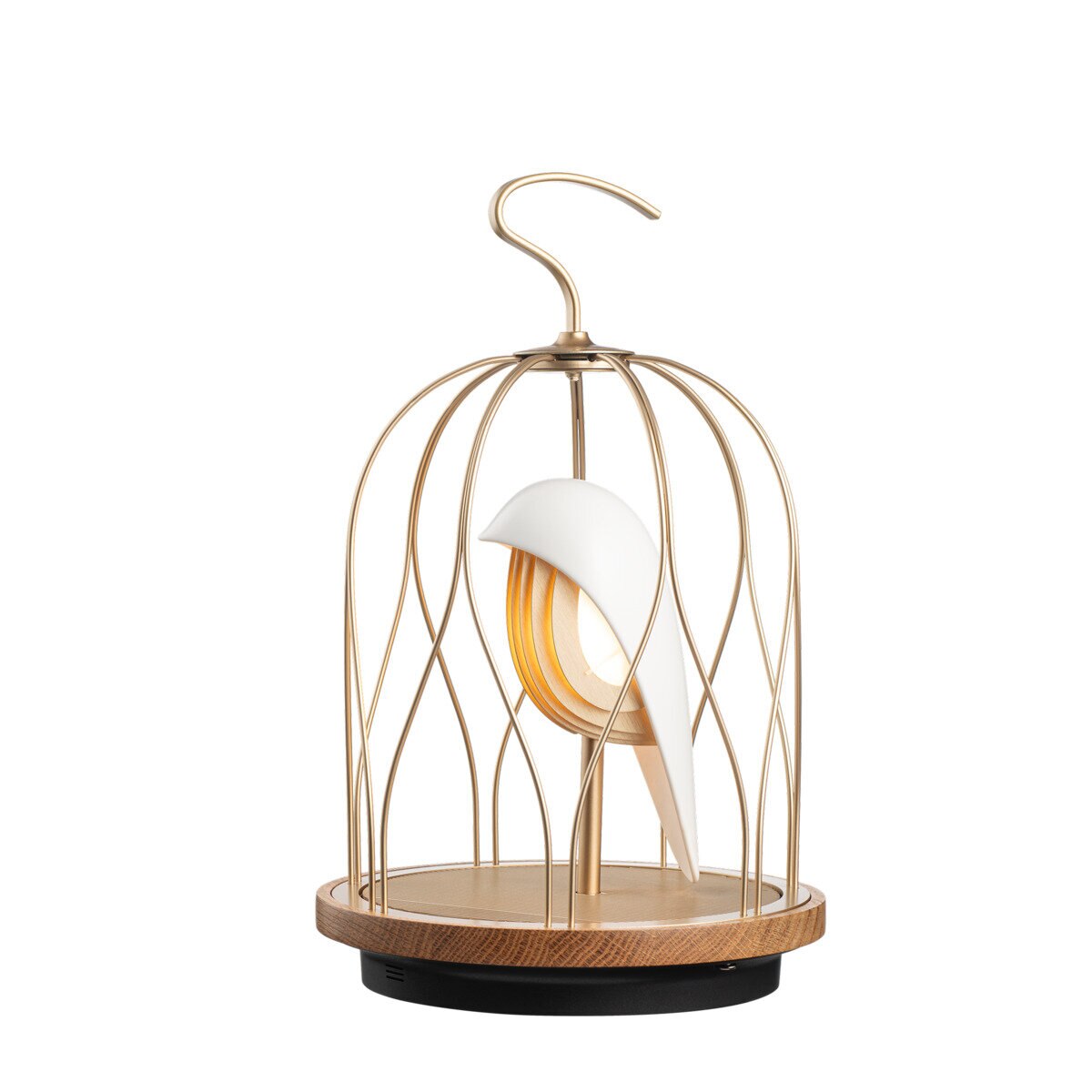 ダキコンセプト ジングーエス LED照明＆Bluetoothスピーカー | Costco