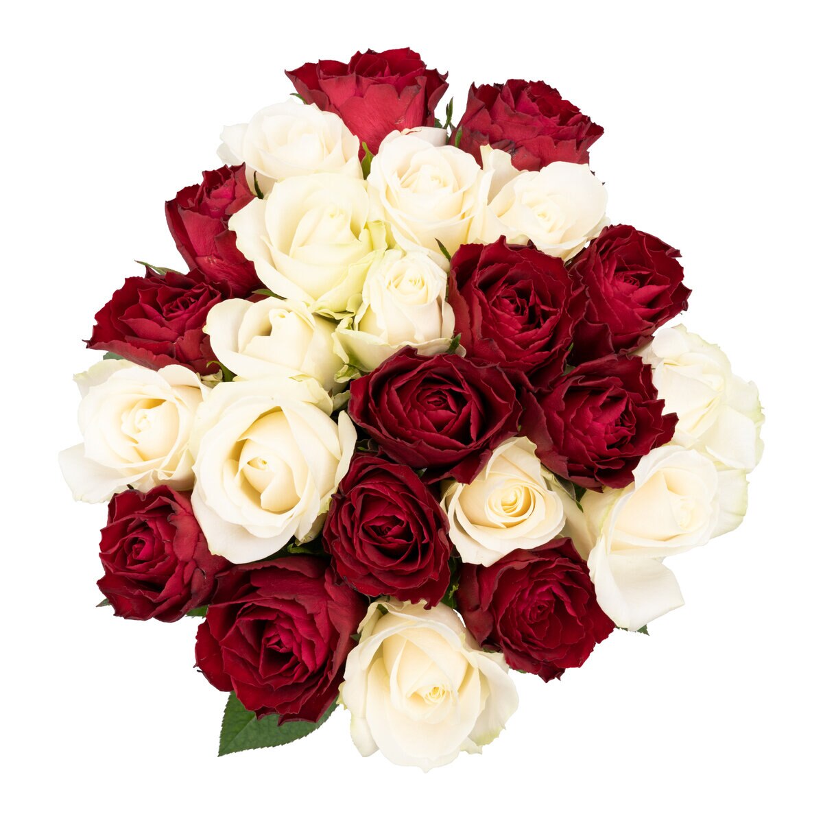ローズブーケ 24本入 ホワイト レッド ミックス Costco Japan
