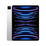 Apple iPad Pro (第6世代) 12.9インチ Wi-Fiモデル 1TB シルバー