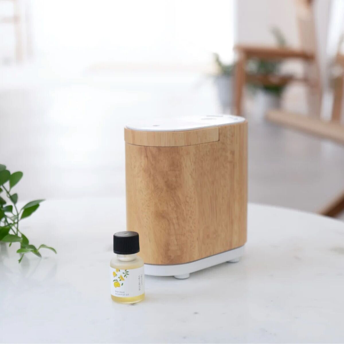 生活の木 シトラスコレクション エッセンシャルオイル 10mL