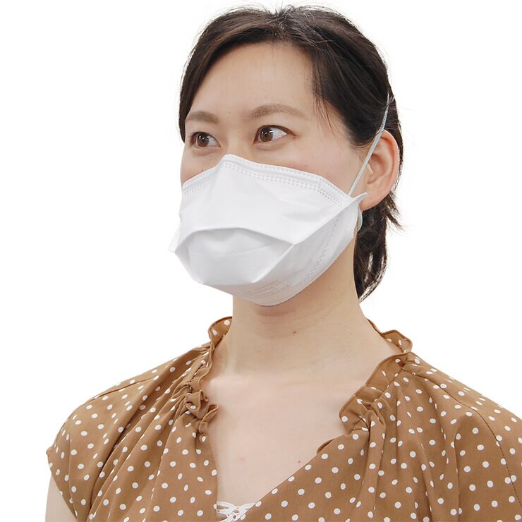 竹虎 折りたたみ式 N95 マスク 50枚