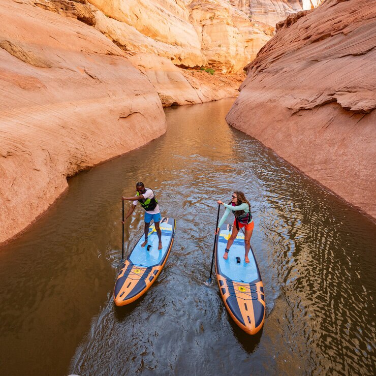 ボディグローブ パフォーマー GTS パドルボード