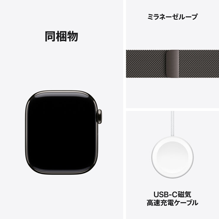Apple Watch S11 Cellular 42mmスレートチタニウムケースとスレートミラネーゼループ