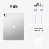 Apple iPad Pro 13インチ M4 WiFi 2TB 標準ガラス搭載 シルバー