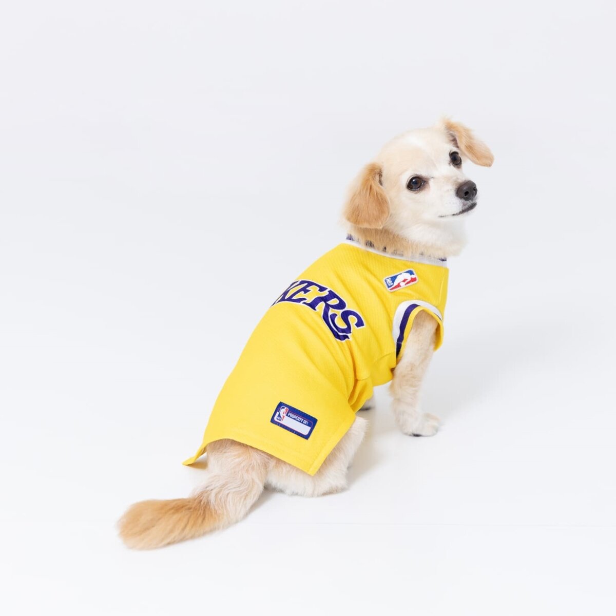 NBA Lakers ジャージ