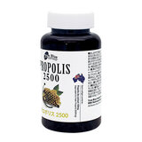 True Blue プロポリス 2500mg ソフトジェルカプセル 300粒